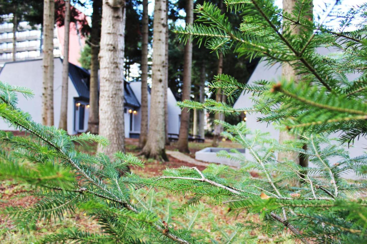 Boro Green Holiday Village Borovets Extérieur photo