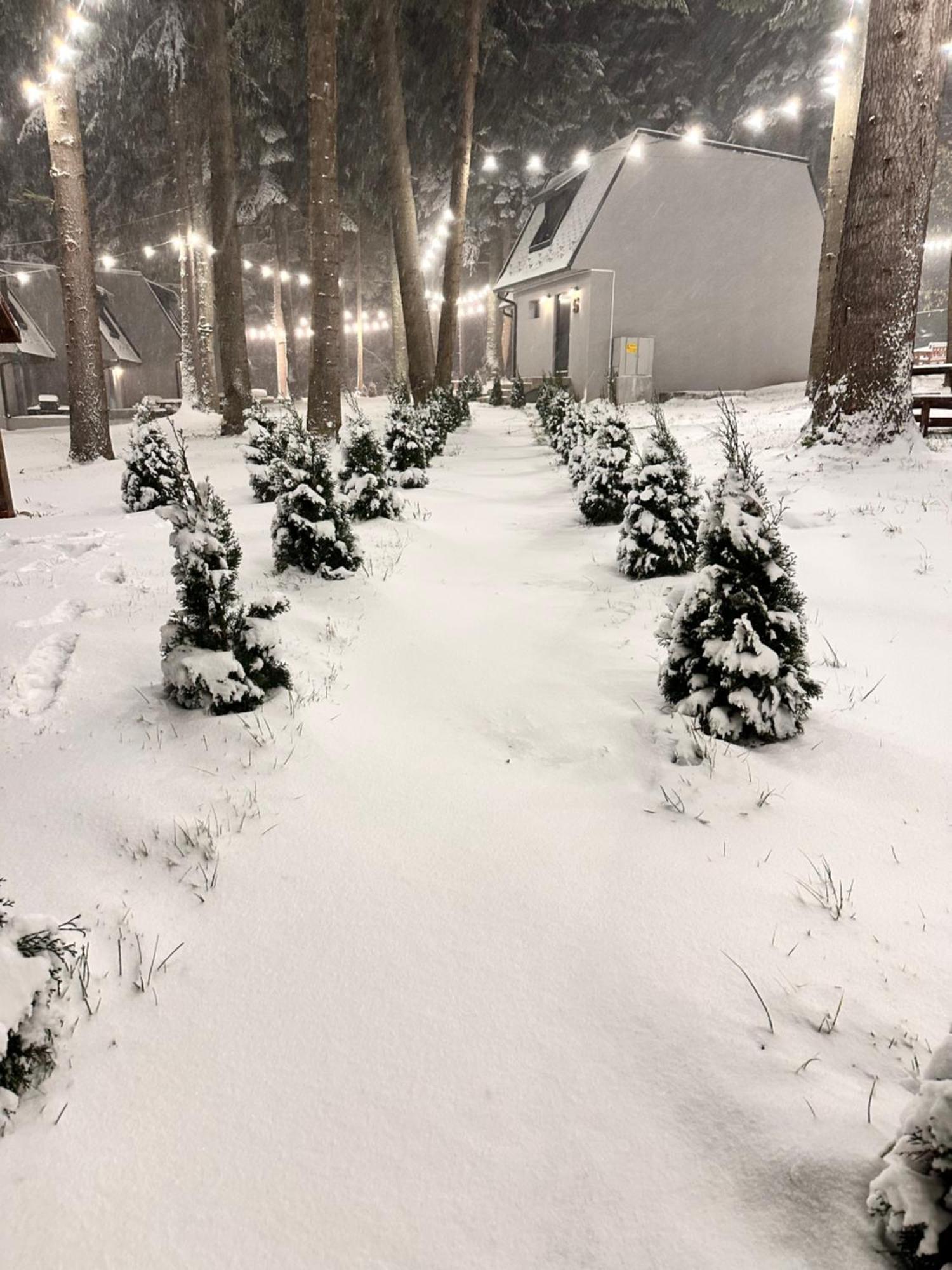 Boro Green Holiday Village Borovets Extérieur photo