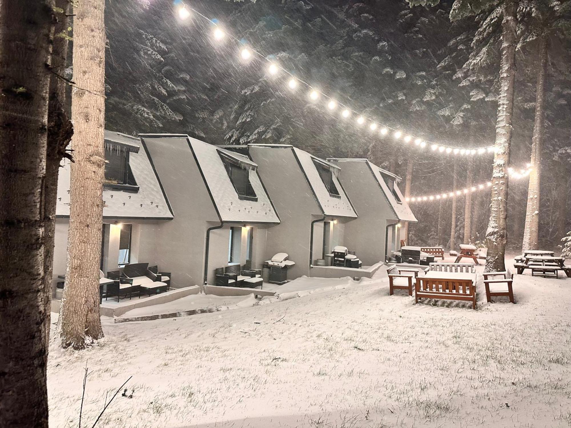 Boro Green Holiday Village Borovets Extérieur photo