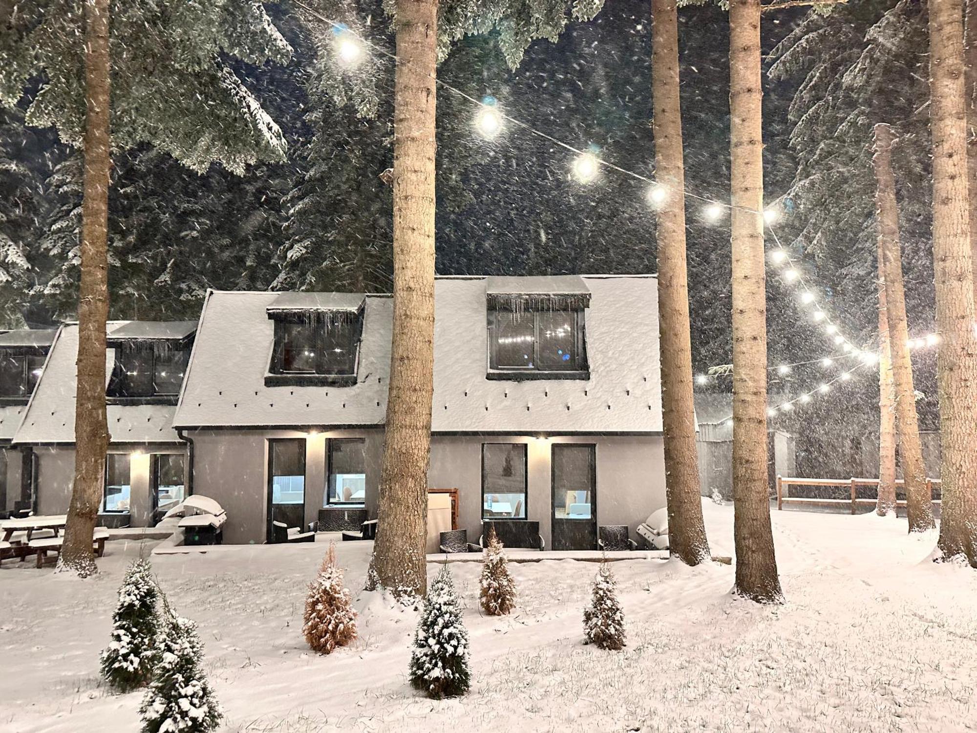 Boro Green Holiday Village Borovets Extérieur photo