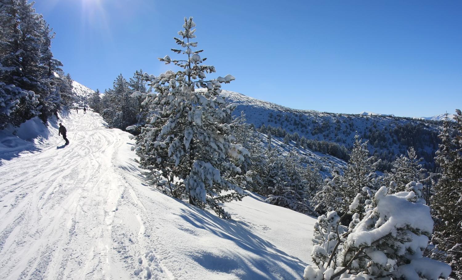 Boro Green Holiday Village Borovets Extérieur photo
