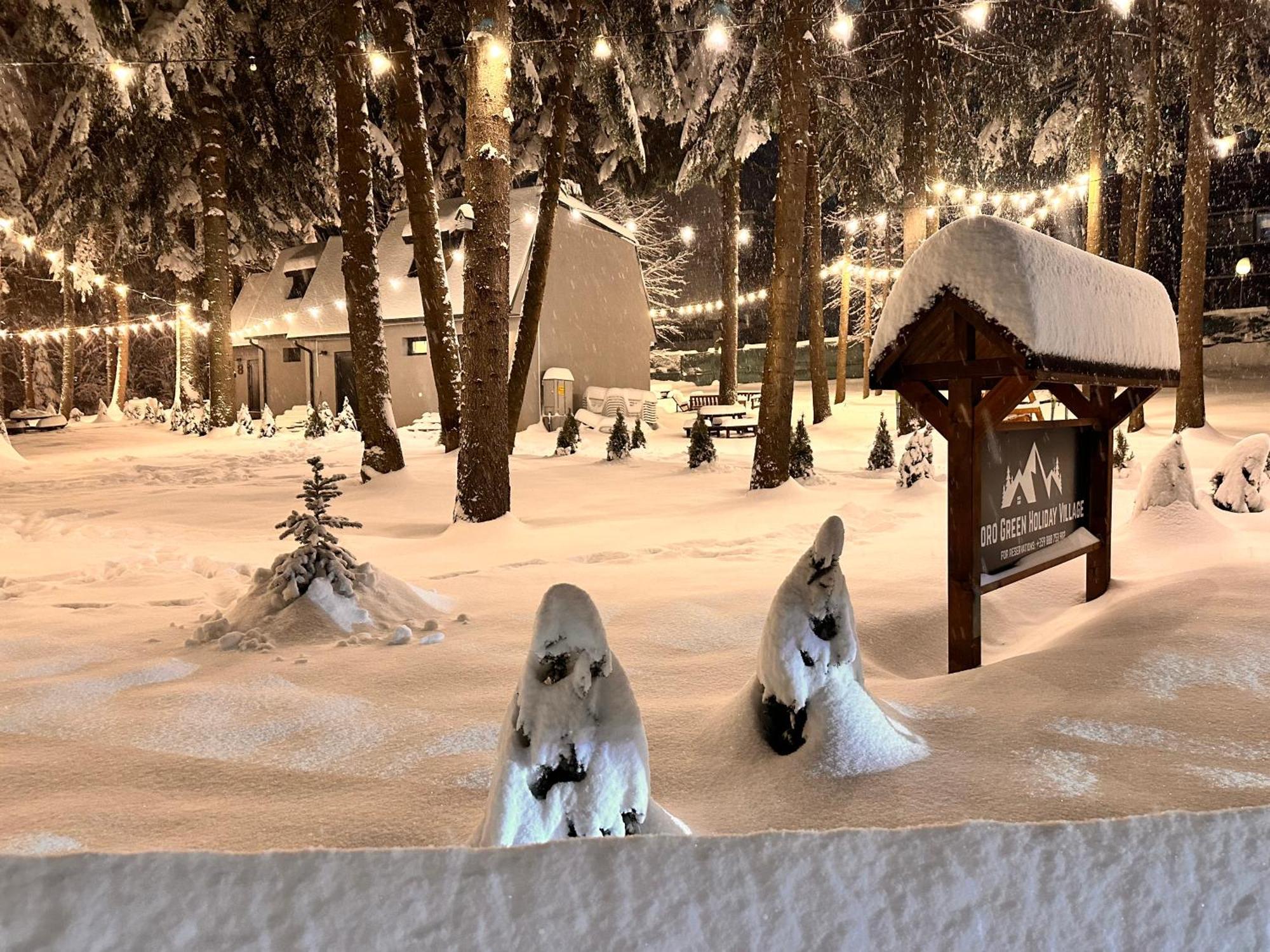 Boro Green Holiday Village Borovets Extérieur photo